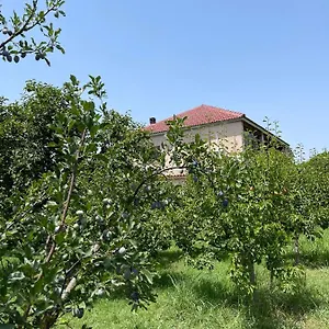  Homestay Mance
